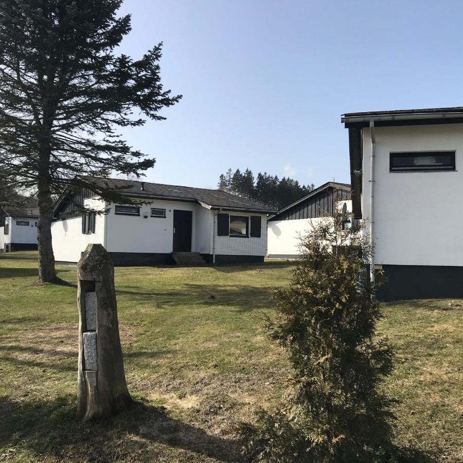 Modernes Ferienhaus Willingen Willingen  Eksteriør bilde